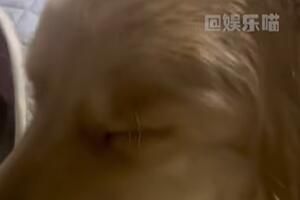 鬼迷日眼梗意思是什么
