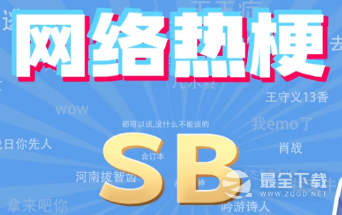 SB是什么意思
