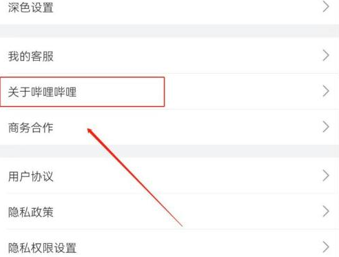 哔哩哔哩怎么查看版本?哔哩哔哩查看版本的方法图片2