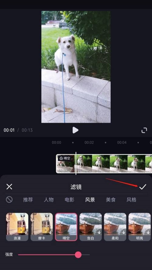 必剪怎么添加滤镜？必剪添加滤镜教程图片4