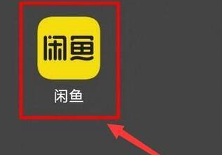 闲鱼如何查看闲鱼币获取情况？闲鱼查看闲鱼币获取情况的方法图片1