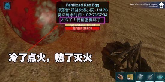 方舟生存进化怎么孵蛋？孵蛋流程及方法介绍[多图]图片3