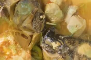 抖音三大食神梗意思一览