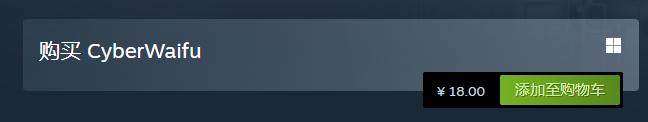 《赛博女友》Steam名称介绍