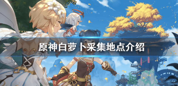原神白萝卜在哪获得 在哪采集