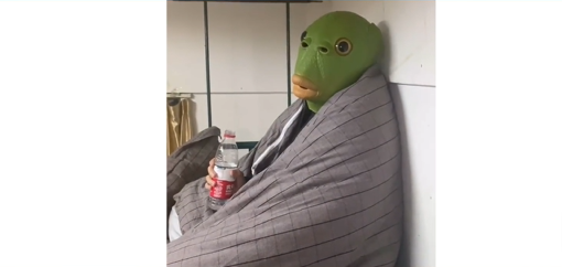 绿头鱼是什么梗详情