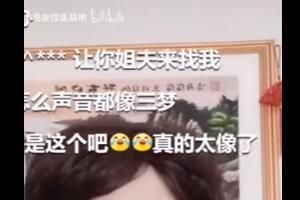 奇缘家族梗含义一览