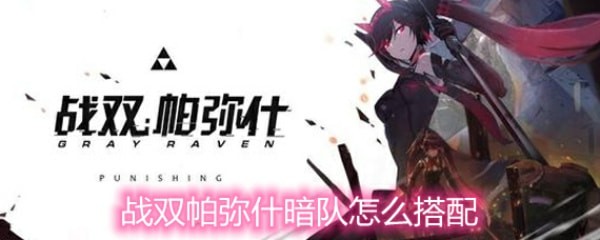 战双帕弥什暗队怎么配