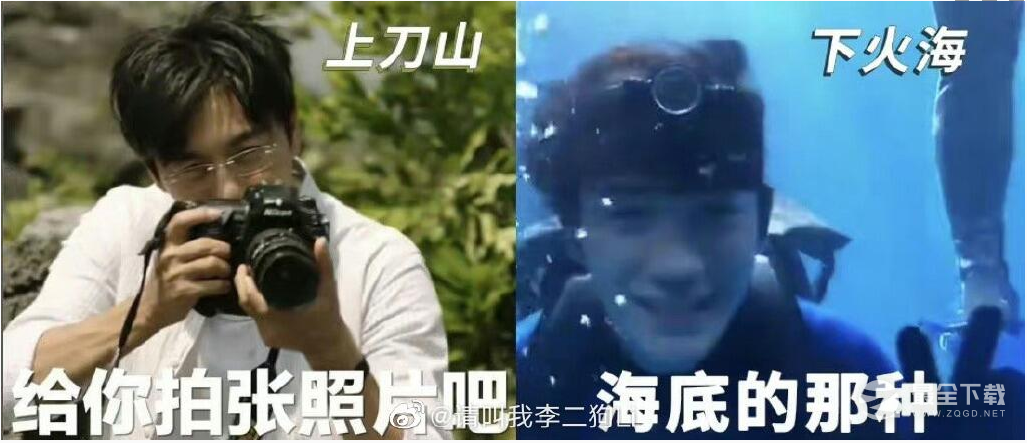 消失的她表情包大全详情
