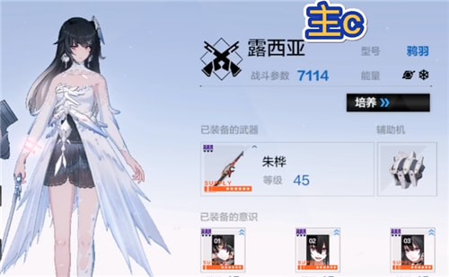 战双帕弥什冰队阵容搭配攻略