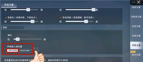 和平精英为什么开麦了队友听不到