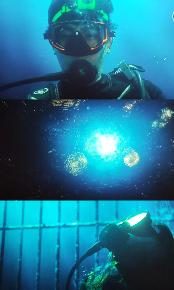 带你去看海底星空的意思及出处介绍
