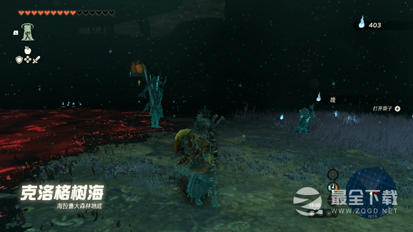 塞尔达传说王国之泪海拉鲁大森林进不去怎么办