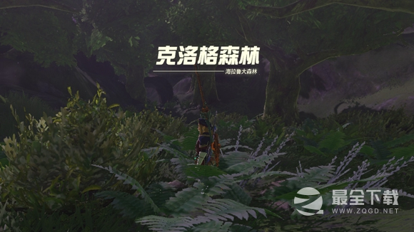 塞尔达传说王国之泪海拉鲁大森林进不去怎么办