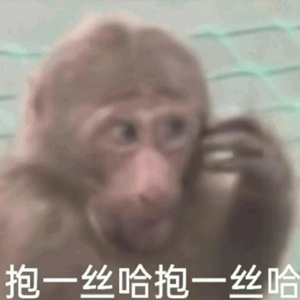 报一丝报一丝梗含义一览