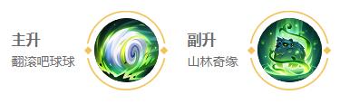 王者荣耀阿古朵英雄详情