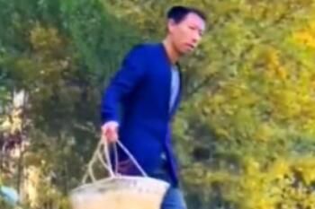 帅农鸟哥梗意思一览