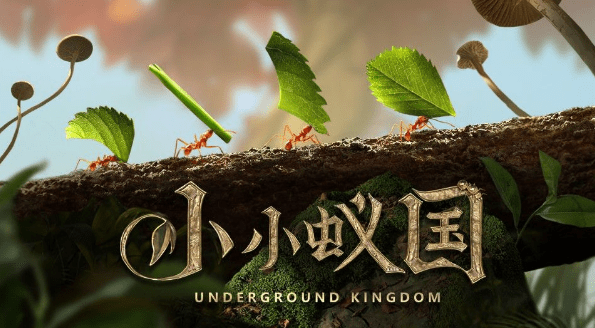 小小蚁国礼包码有哪些