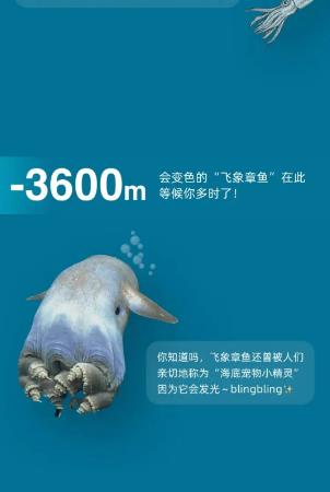 淘宝大赢家今日答案6.27号是什么？哪个动物可能看到泰坦尼克答案介绍图片3