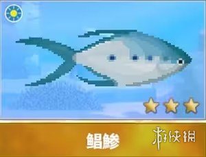 潜水员戴夫鲳鲹抓捕位置