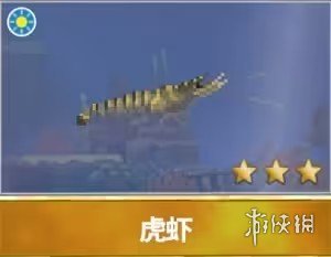 潜水员戴夫怎么捉虾