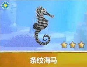 潜水员戴夫7级海马捕捉攻略