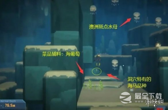 潜水员戴夫7级海马捕捉攻略
