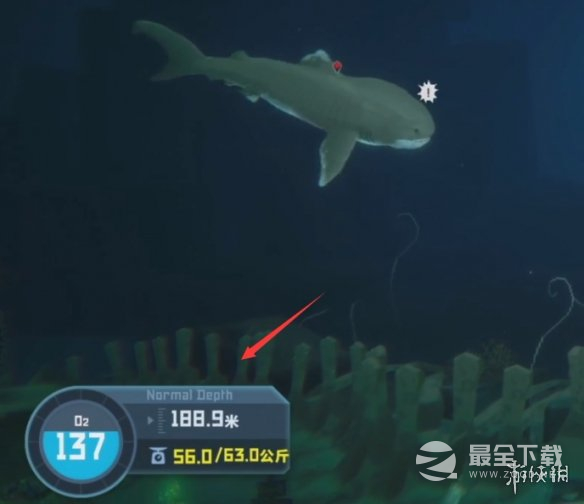 潜水员戴夫巨口鲨位置详情