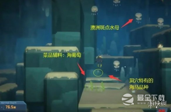 潜水员戴夫澳洲斑点水母如何抓捕
