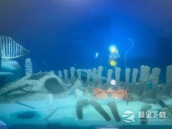 潜水员戴夫白色海马刷新地点