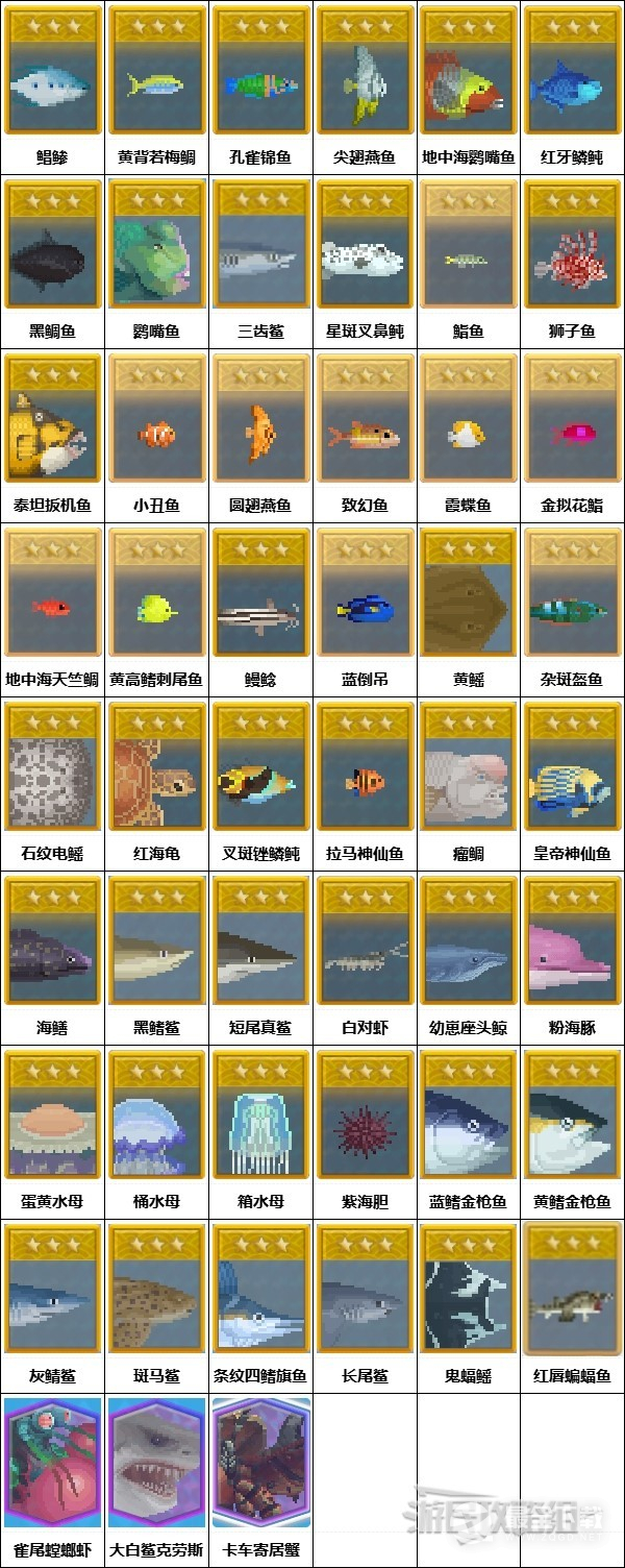 潜水员戴夫蓝洞入口全三星鱼介绍