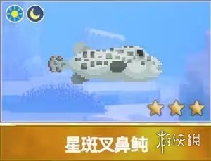潜水员戴夫星斑叉鼻鲀位置在哪
