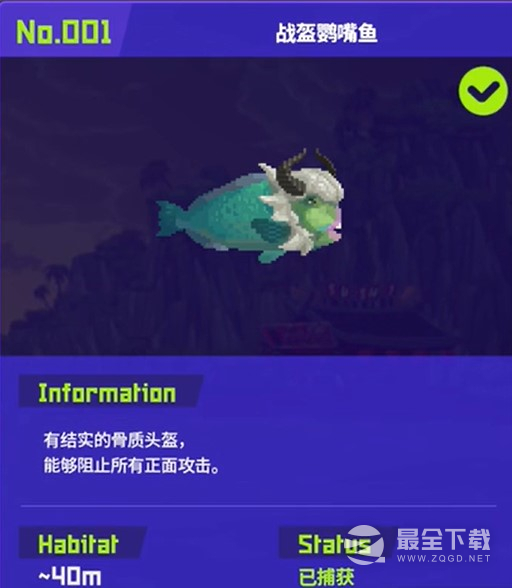潜水员戴夫战盔鹦嘴鱼捕捉指南
