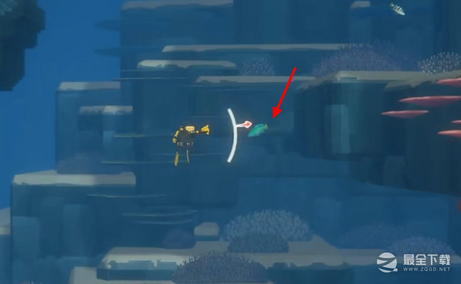 潜水员戴夫青条鳃棘鲈如何抓捕