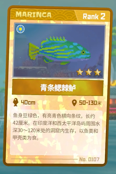 潜水员戴夫青条鳃棘鲈如何抓捕