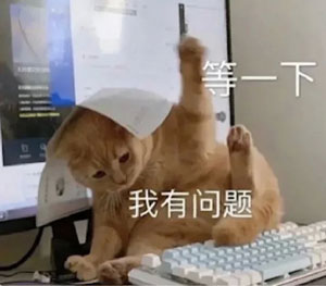 理解质疑成为梗的意思和含义