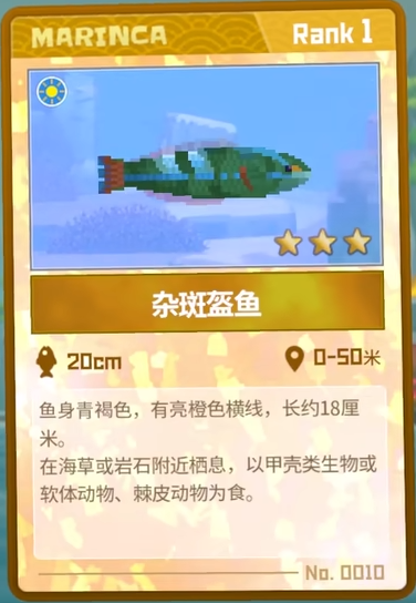 潜水员戴夫杂斑盔鱼抓捕指南