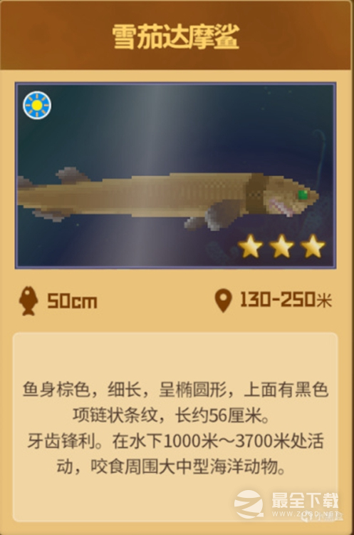 潜水员戴夫雪茄达摩鲨位置