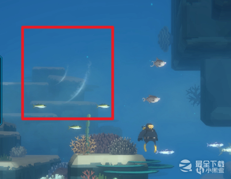 《潜水员戴夫》寻找小鲸鱼任务攻略