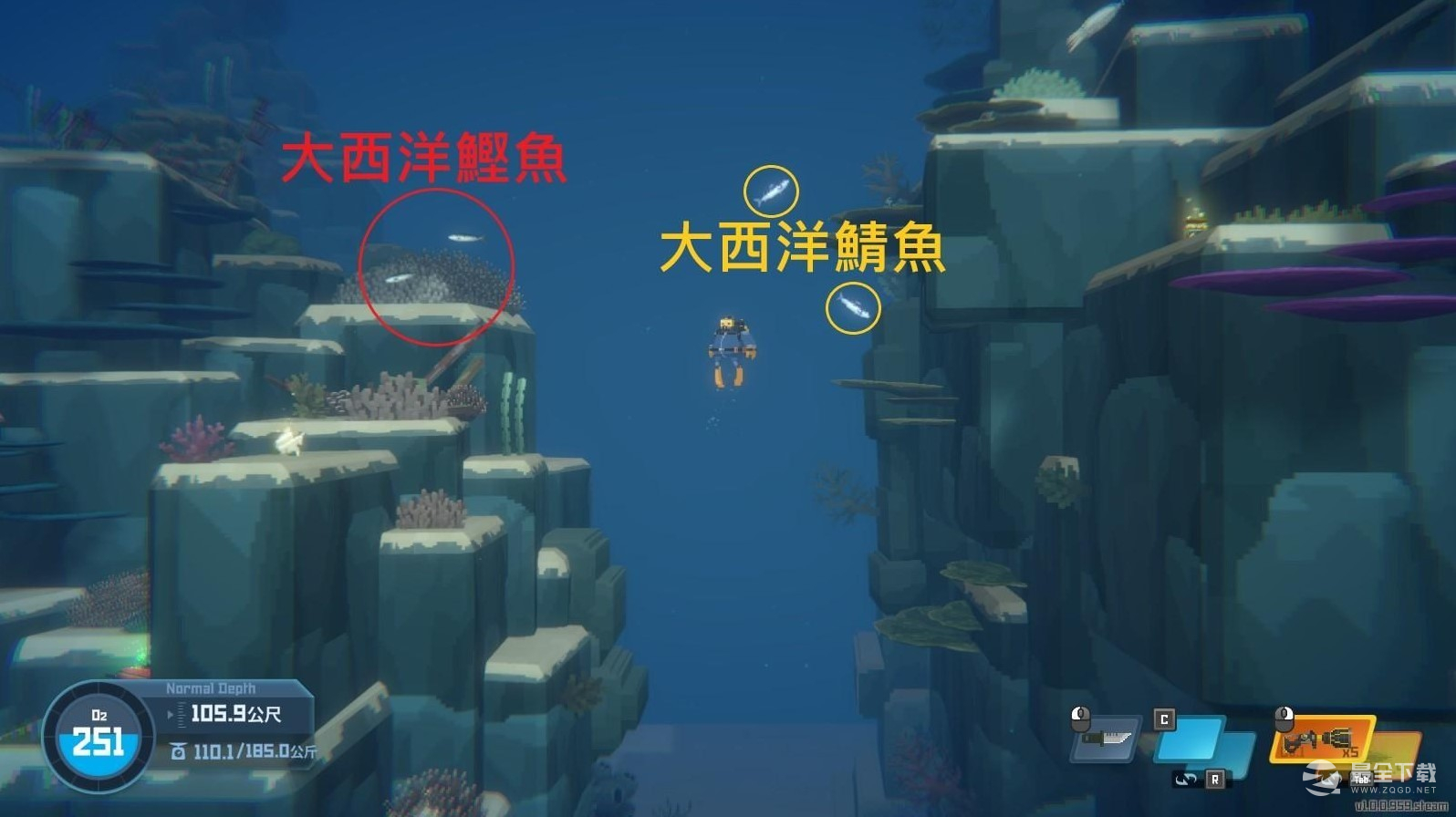 《潜水员戴夫》大西洋鲣鱼获得方法