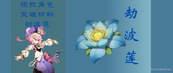 《原神》劫波莲采集路线 原神劫波莲位置在哪