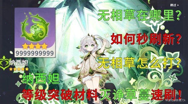 《原神》无相之草位置与原地秒刷新方法 无相之草打法心得