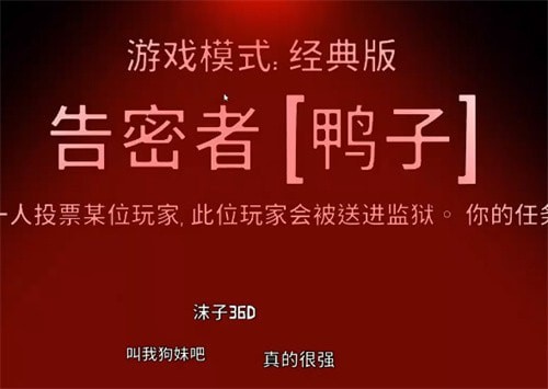 鹅鸭杀告密者投票机制介绍