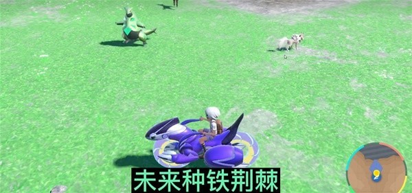 《宝可梦朱紫》铁荆棘与铁脖颈捕捉教程 铁荆棘在哪捕捉