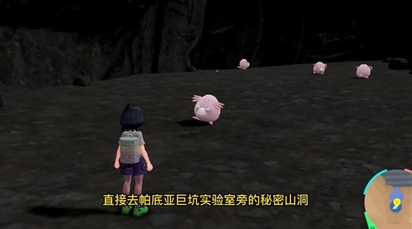 《宝可梦朱紫》毕业宝可梦快速培养教学