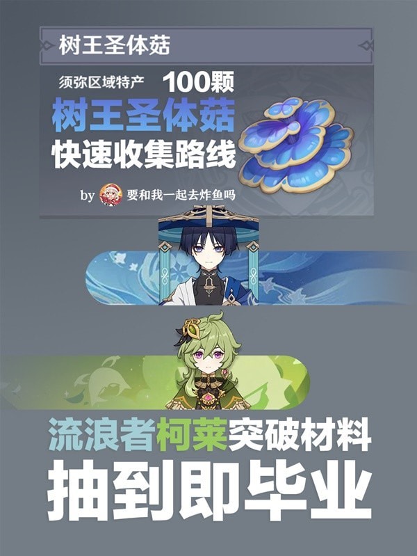 《原神》柯莱突破材料树王圣体菇采集路线分享