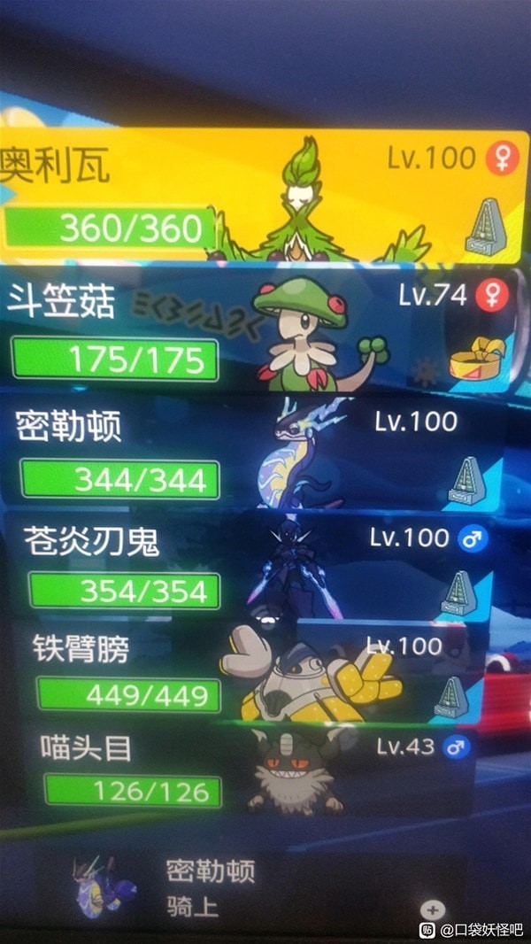 《宝可梦朱紫》节拍器吸血配置核心推荐