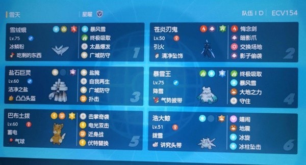 《宝可梦朱紫》双打娱乐雪天队配置分享