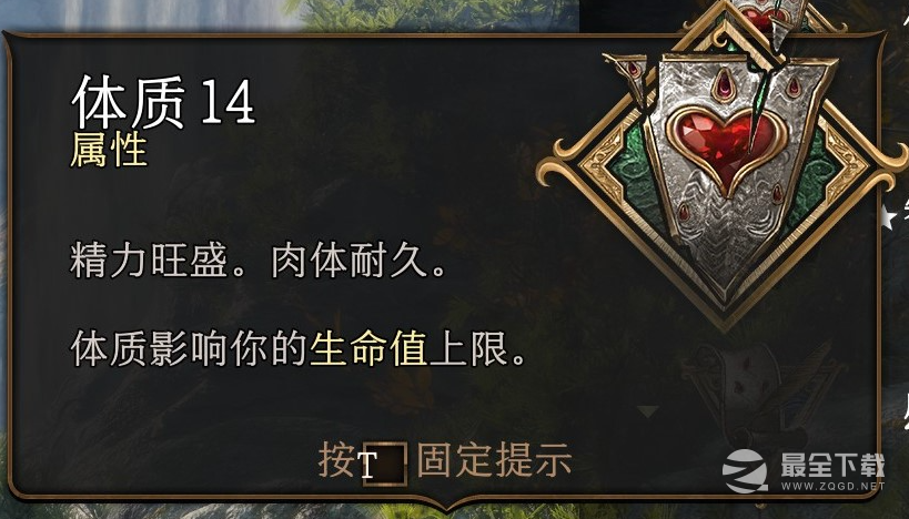 《博德之门3》体质属性介绍