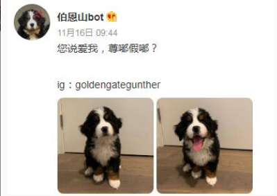 尊嘟假嘟梗的来源是什么